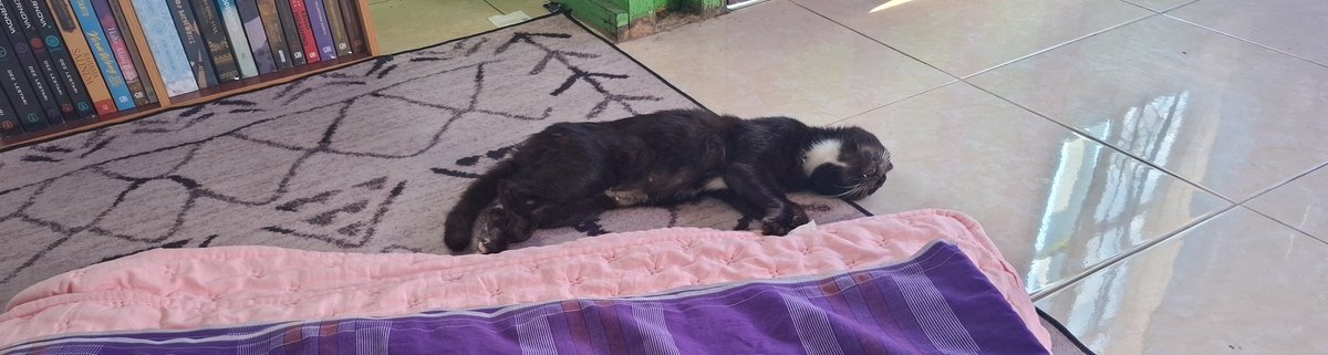 Thiֶָ֢rahֶָ֢٠࣪⭑ tweet media