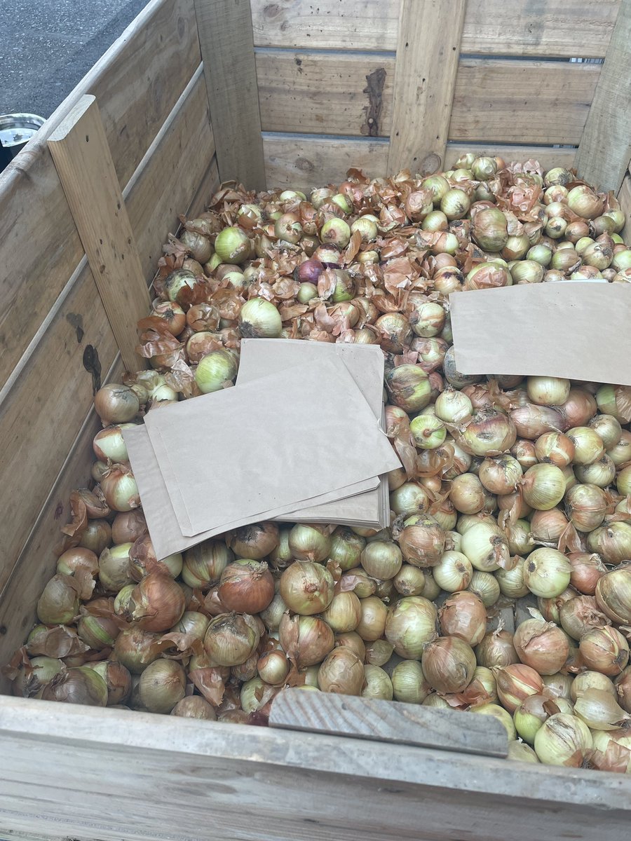 Kaori@NZ🇳🇿ニューアース案内人 tweet media