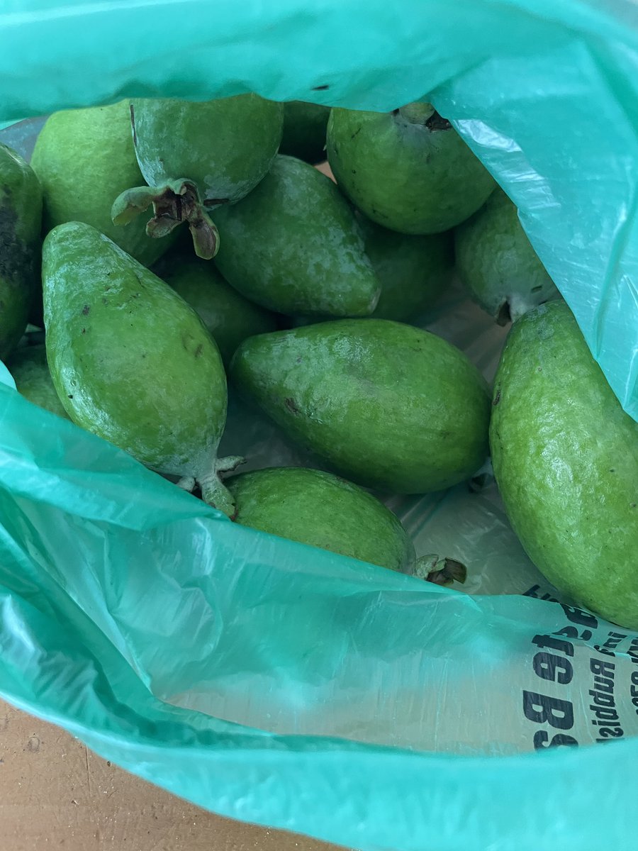 Kaori@NZ🇳🇿ニューアース案内人 tweet media