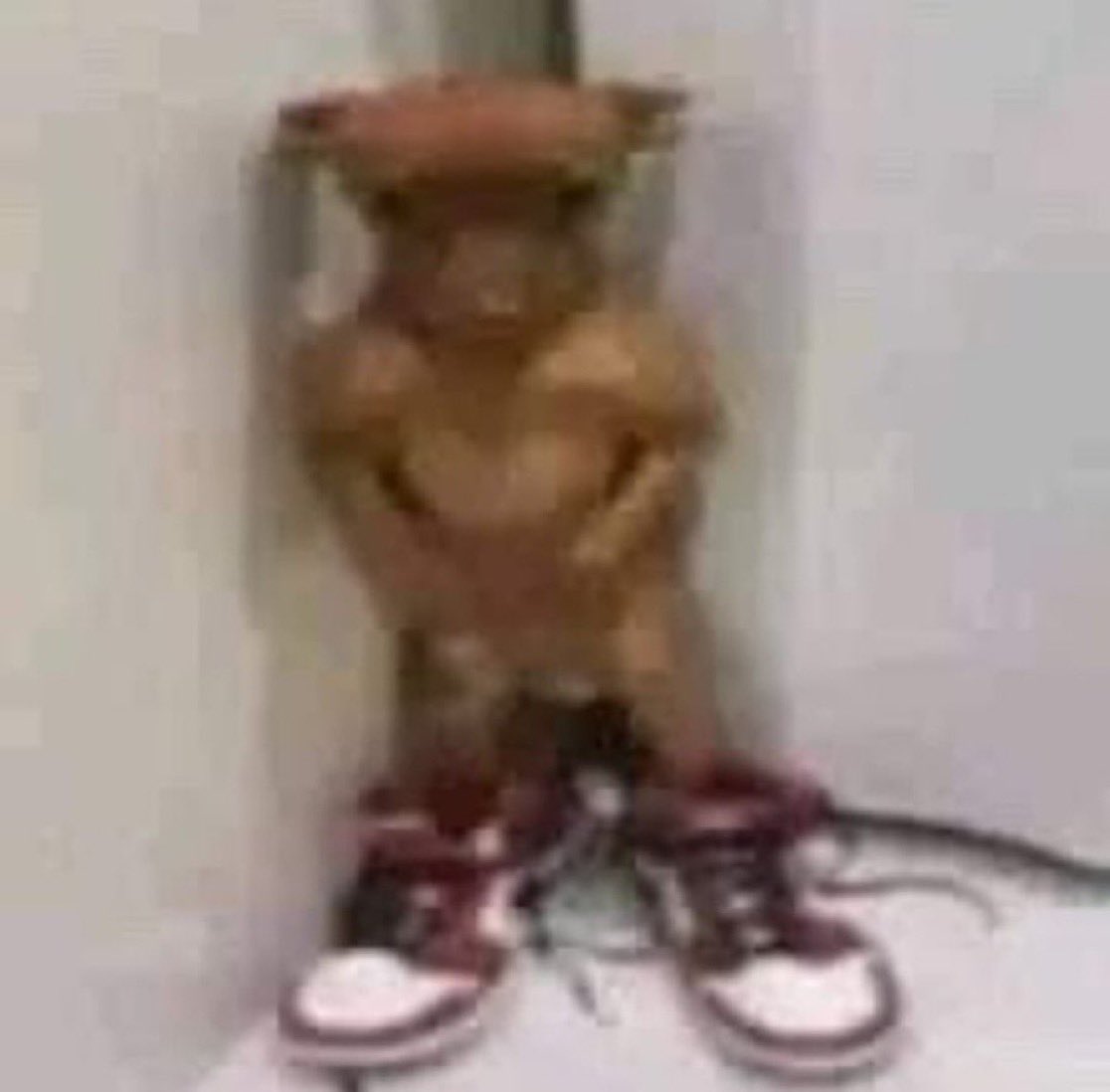 ana julia tweet media