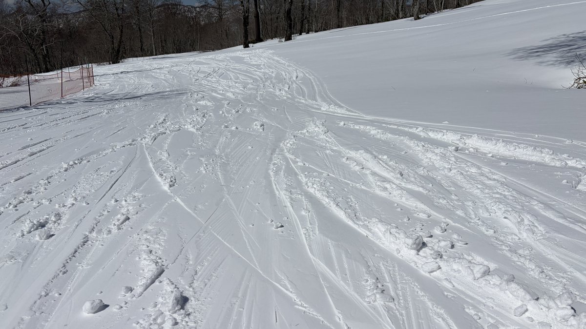 がろーね tweet media