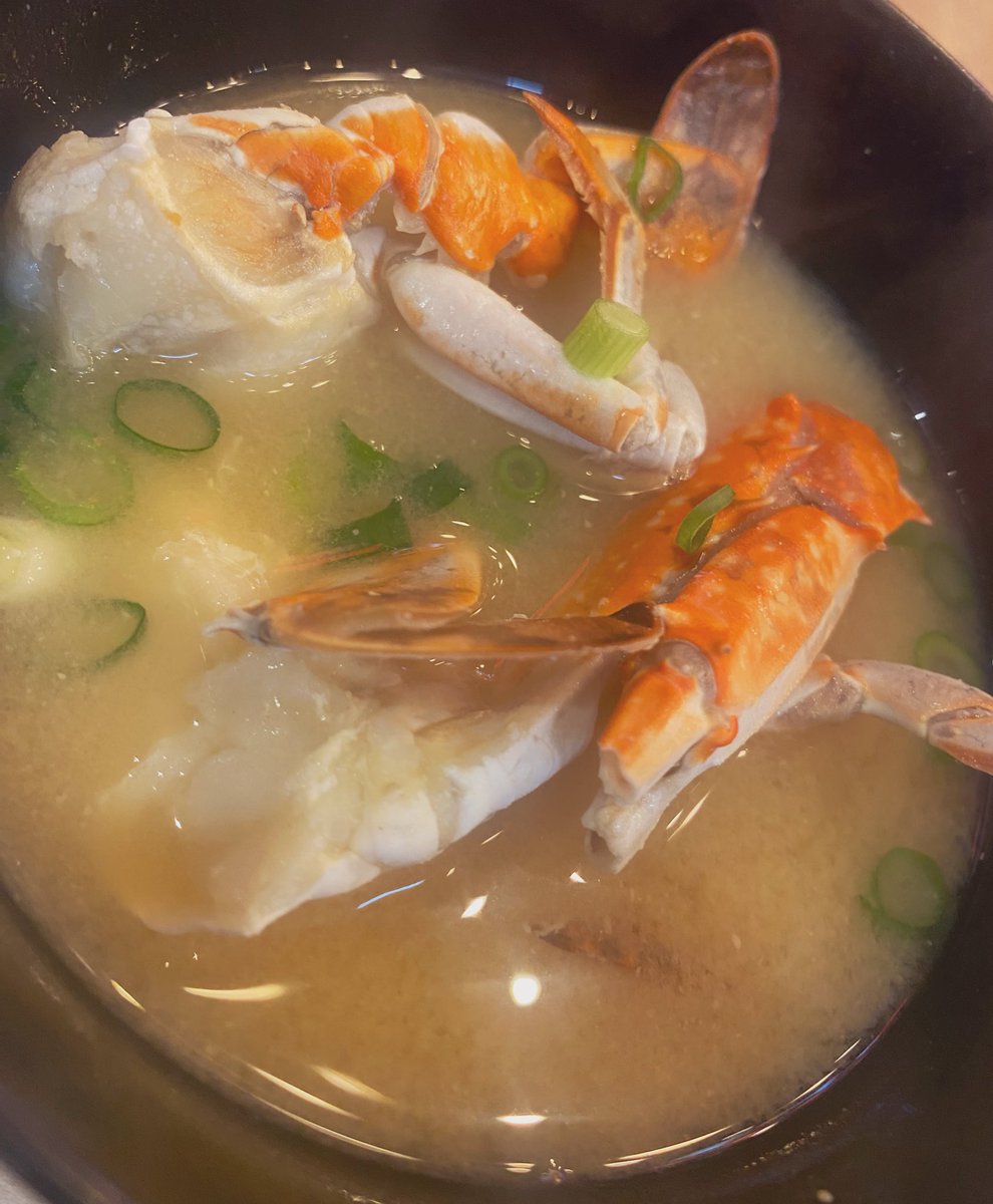 桜井ゆるの@5/13-17 #キミユウ2026 Bロナリー tweet media