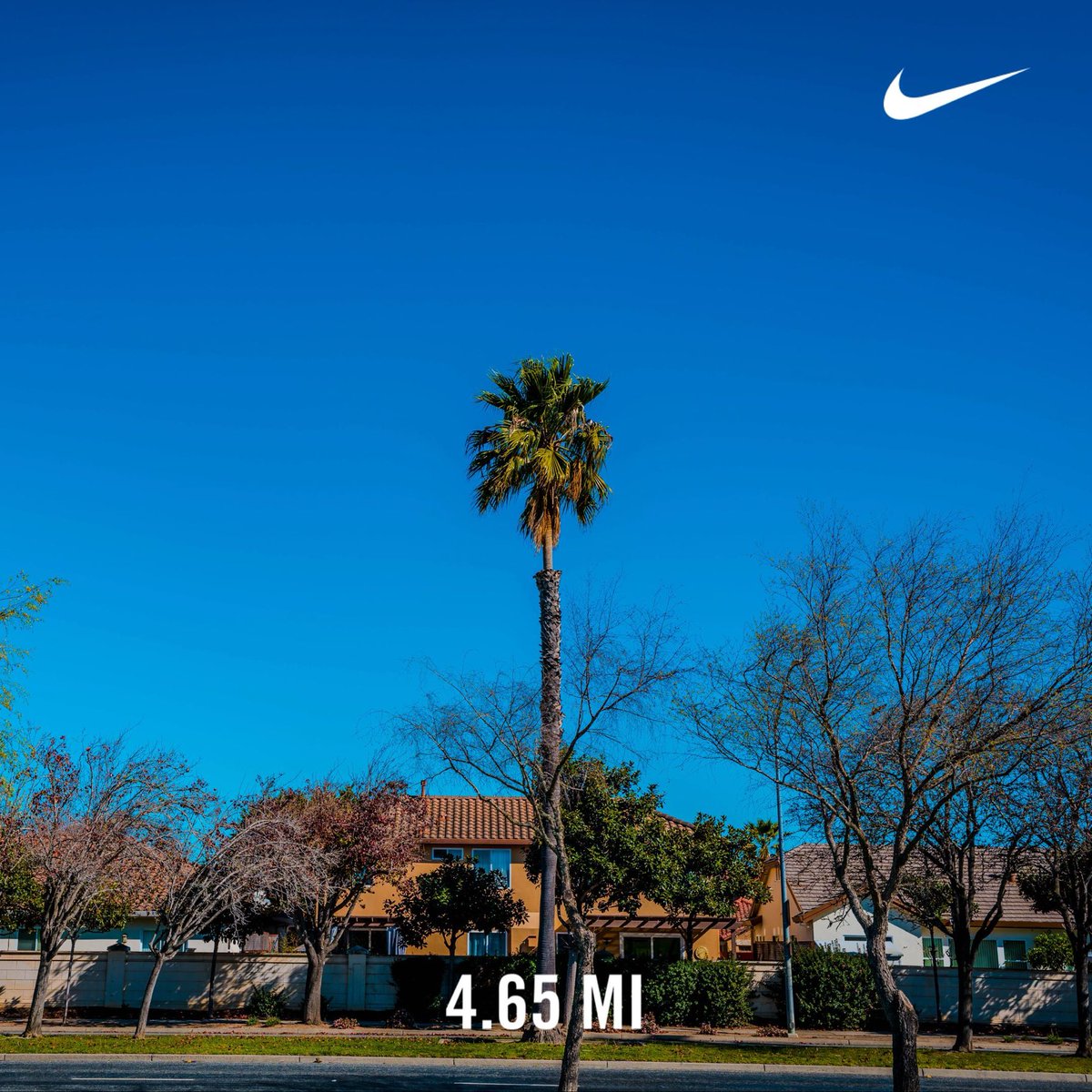 bigperm1974's tweet image. #nikerunclub #nikefuel #nrc #salinasrunclub @stigma.wellness   @rhc.monterey