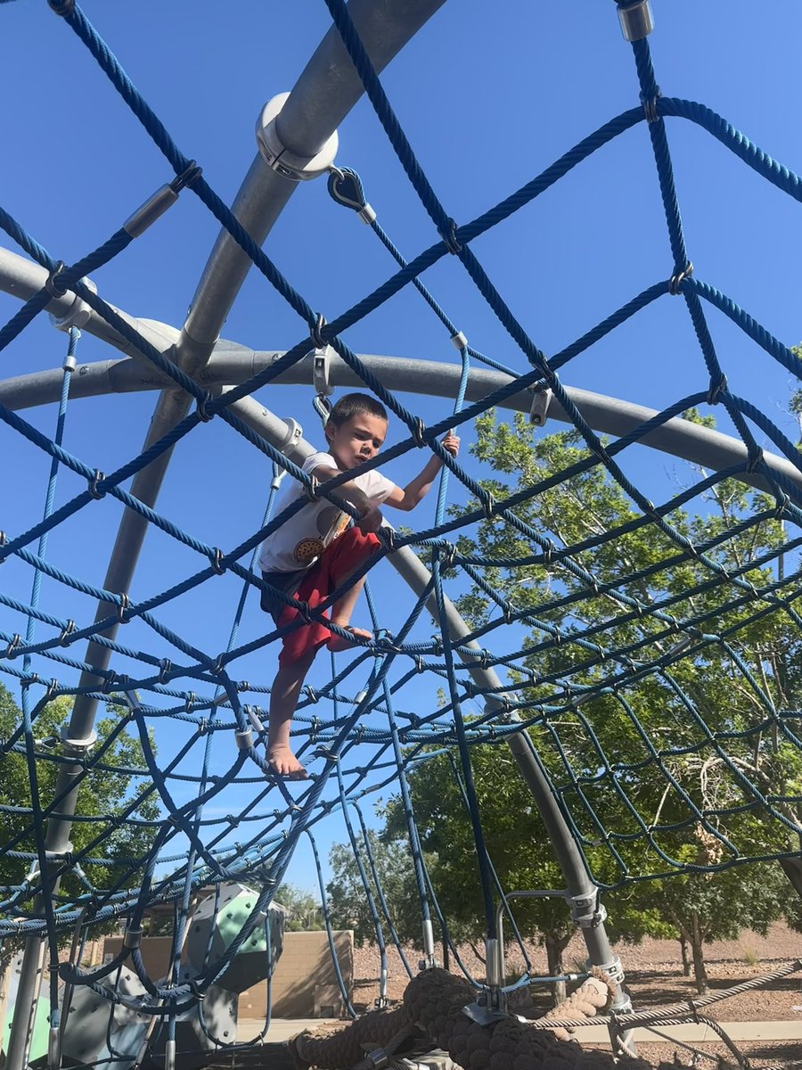 Tyler Todt tweet media