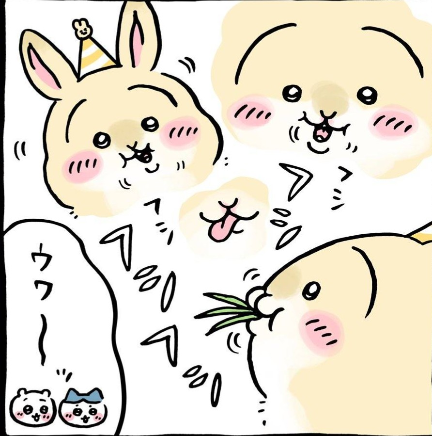 テバサキ ( 'ཫ' )🕊🐖 tweet media