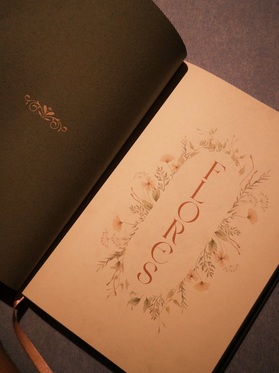 mirah ;; enhypen is sevEN tweet media