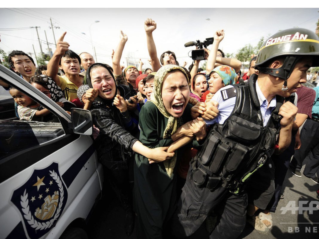 楊海英(Oghonos Chogtu＝Yang Haiying） tweet media