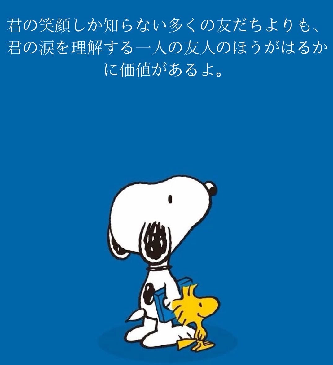 🥀Merissa you 🪔(胡蝶洋子🌹) tweet media