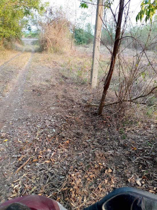 Inkza💜 tweet media