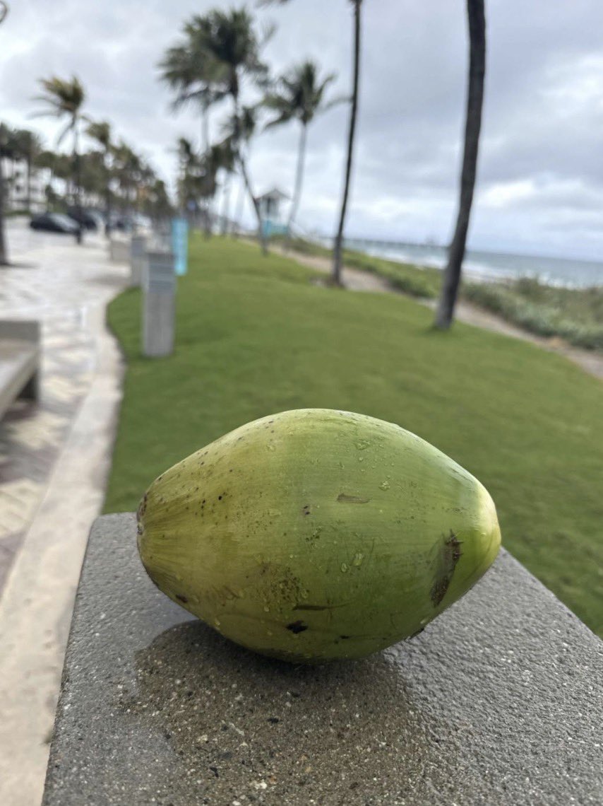 HausChefDan's tweet photo. Rainy run today https://t.co/6bYmQoSHjm