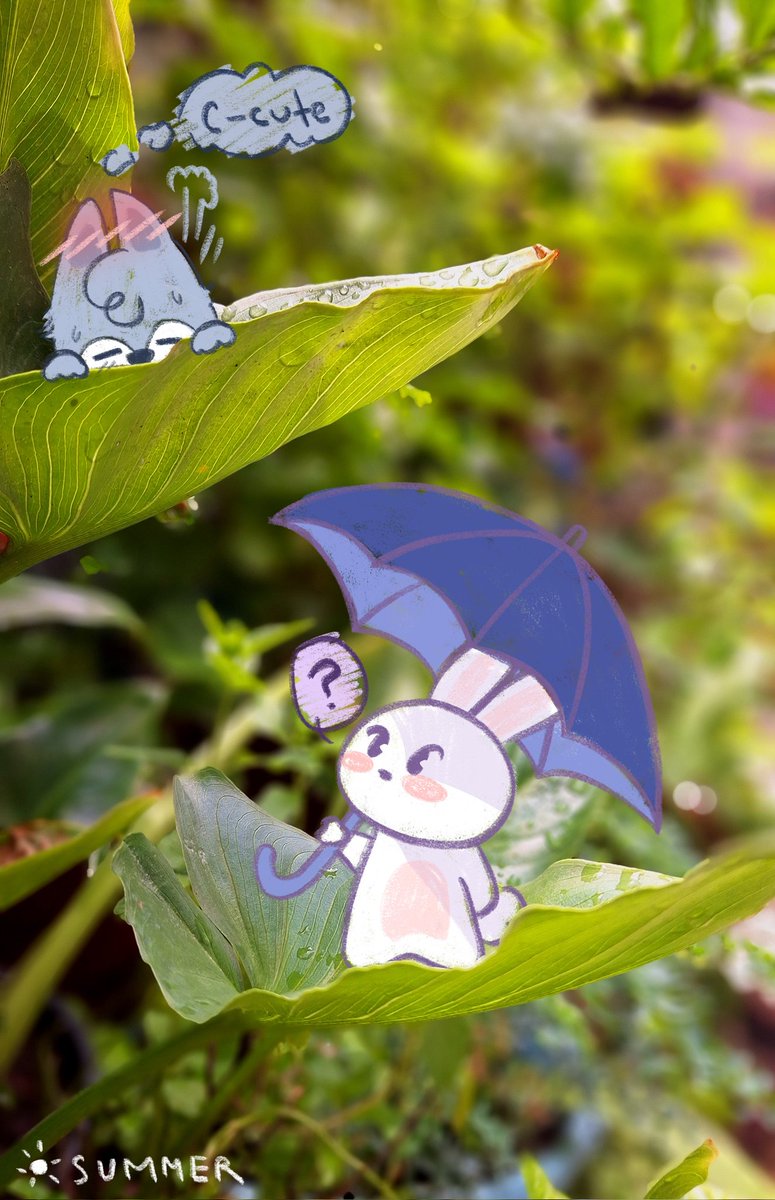 Summer ‧₊˚⛅️⋅♡ tweet media