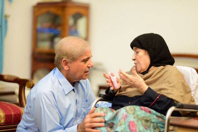 سہیل احمد(عزیزی) tweet media