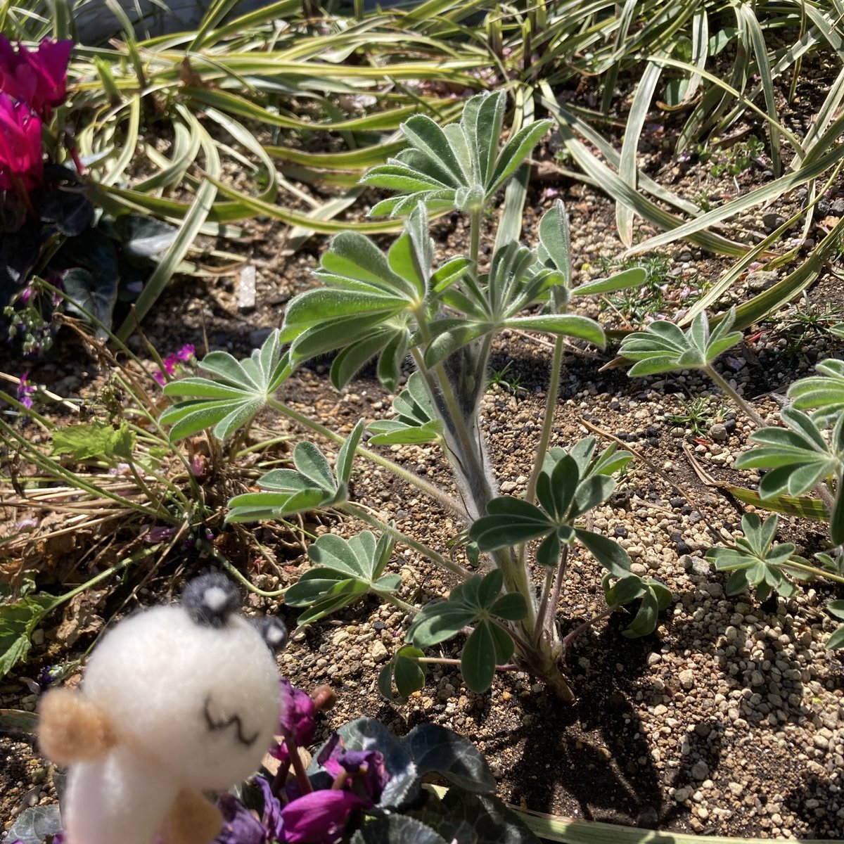 江東区中川船番所資料館 tweet media