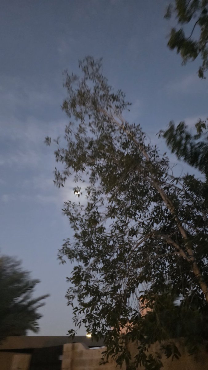 @90MAHMOOD90 ❤️ tweet media