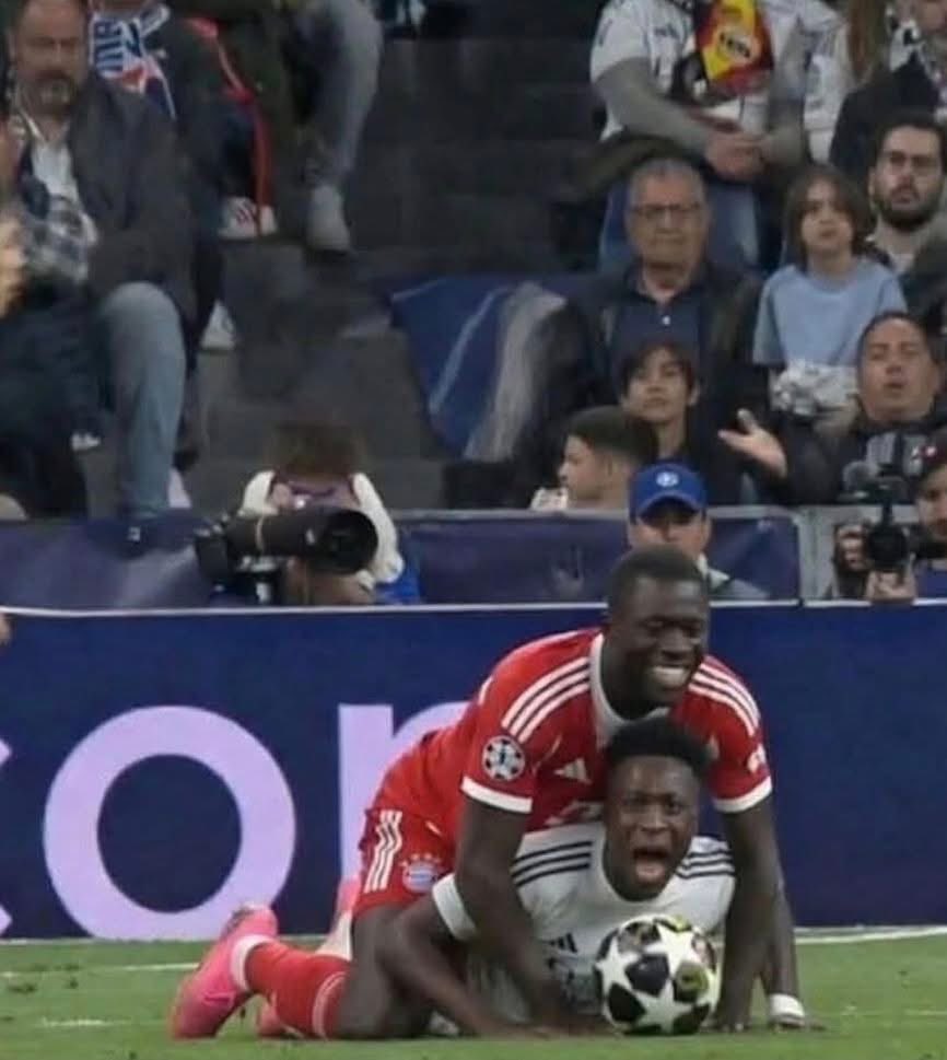 ABSOLUTE BRAZILIAN tweet media