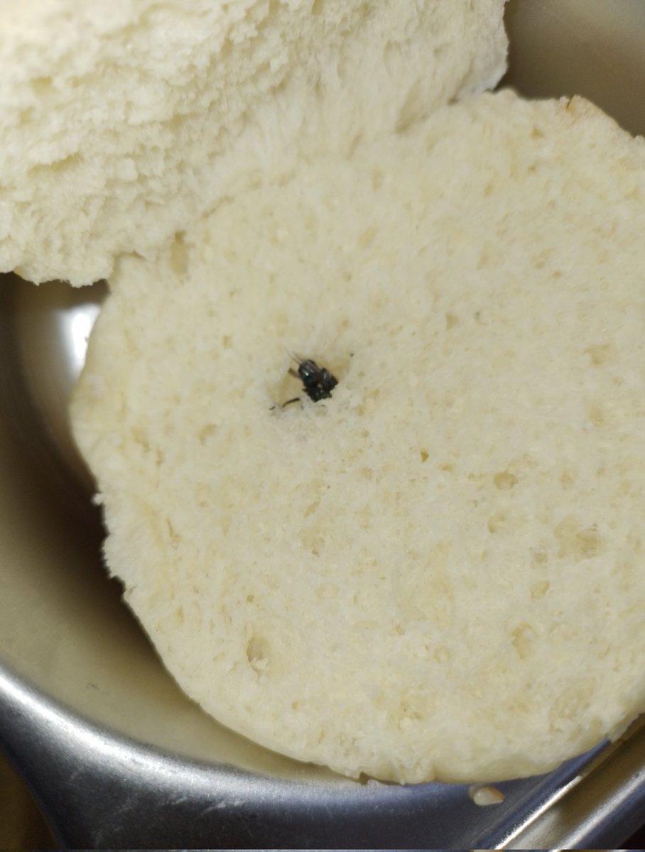 ajuy²⁷ tweet media