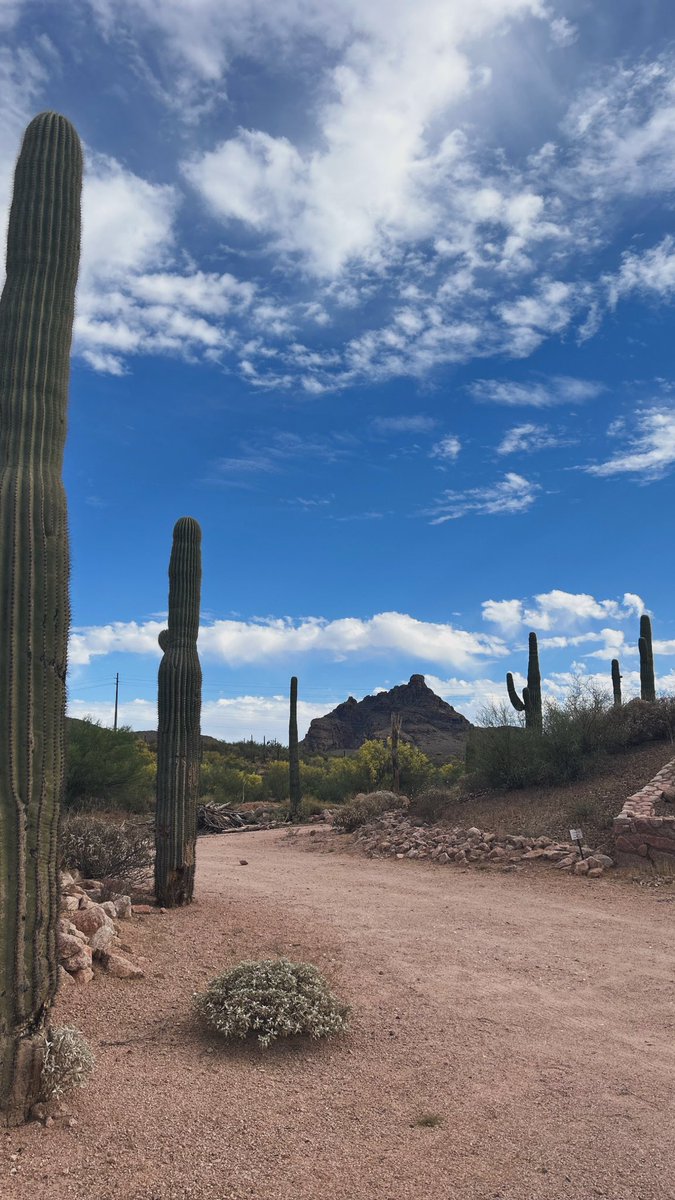 CoachJasonRhine's tweet photo. Dear @WBCA1981, 
Thanks for a wonderful convention, Tourney Town and Final Four. I beg you to consider Phoenix as a host site much more often and keep us out of the cold states! https://t.co/iQZIxbTCHG