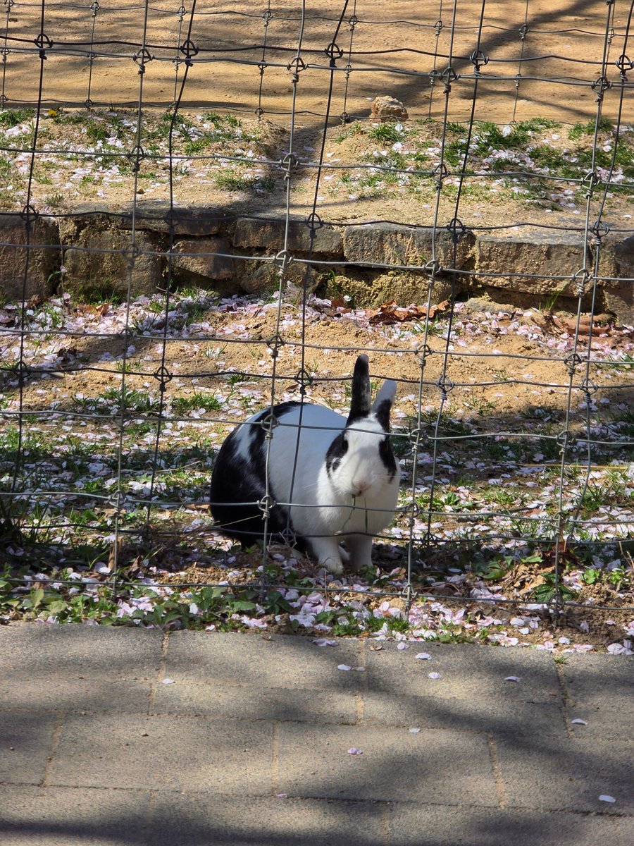 유일이 tweet media