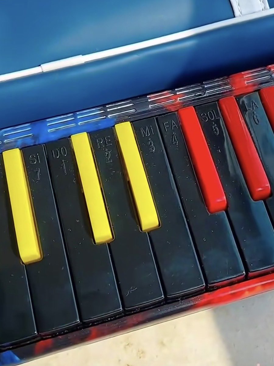 ピアノニマス 鍵盤ハーモニカ奏者・研究家 / 南川朱生 pianonymous tweet media