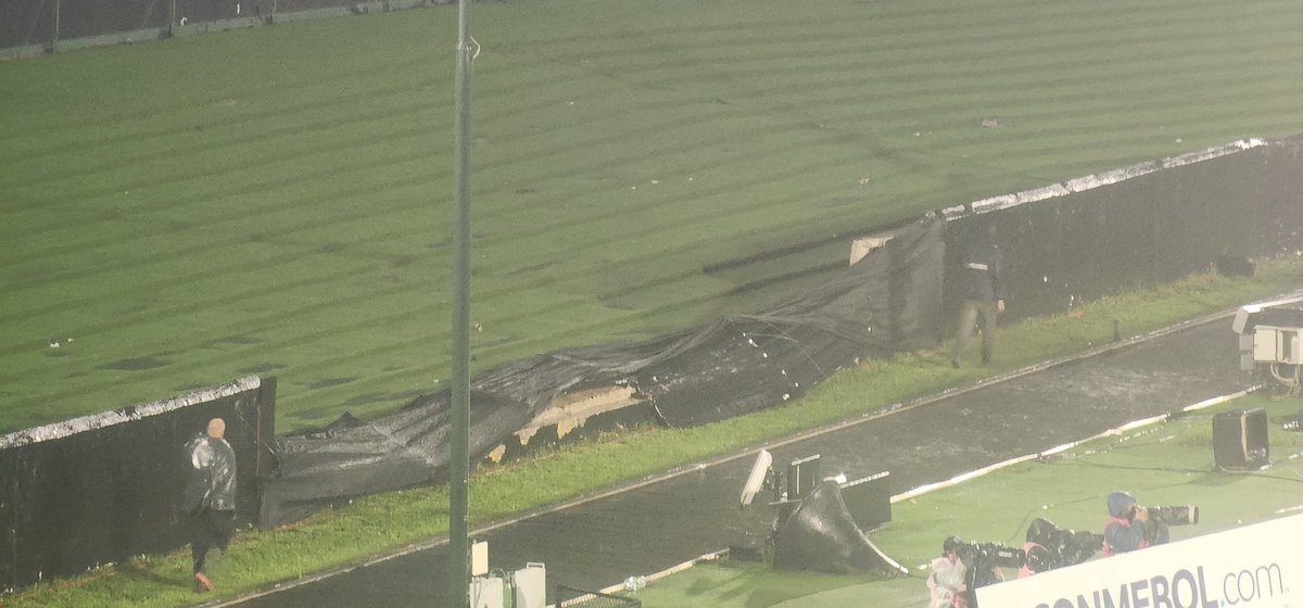 Cristian Panzardo tweet media