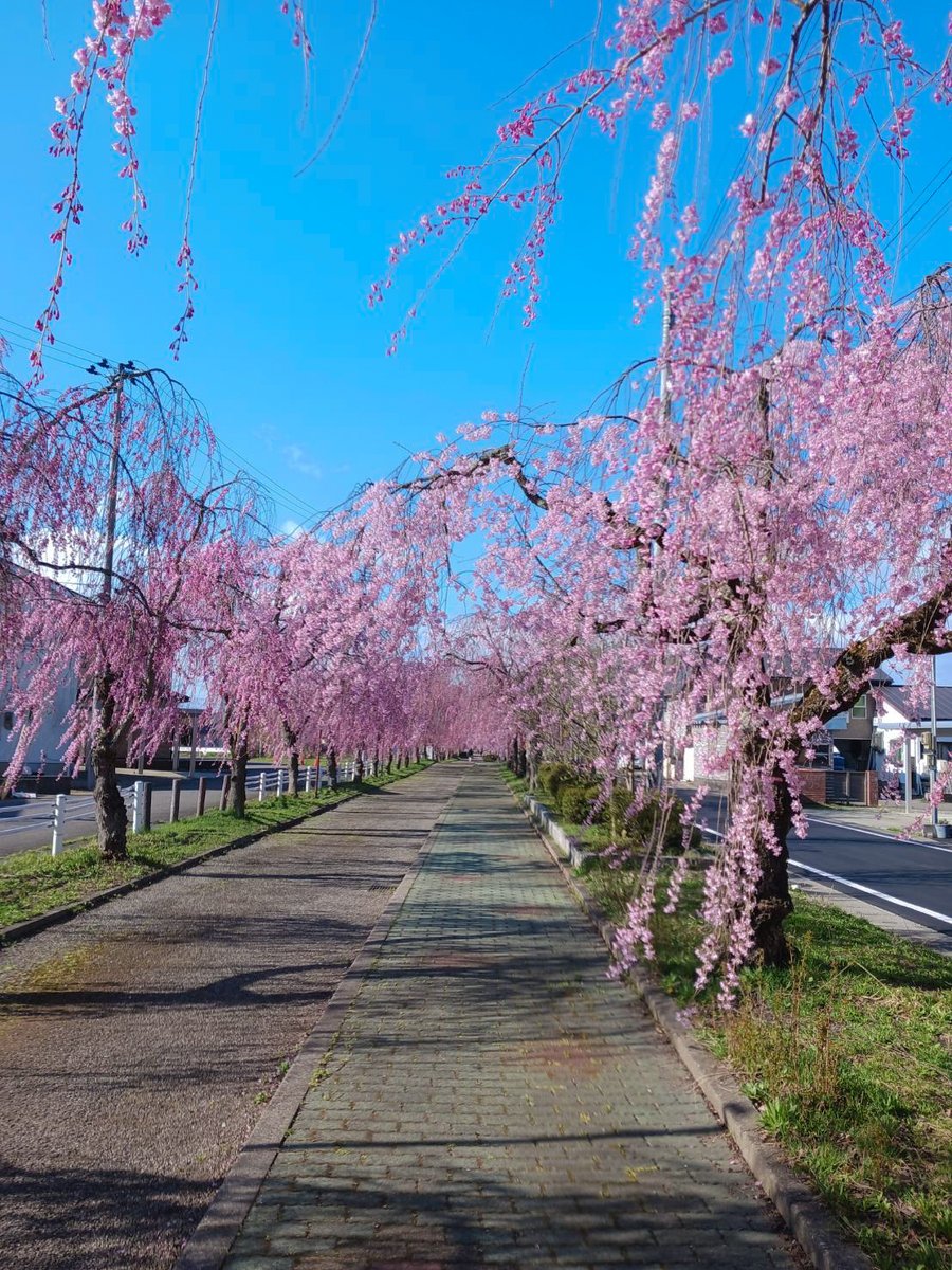 ほまれ酒造 tweet media