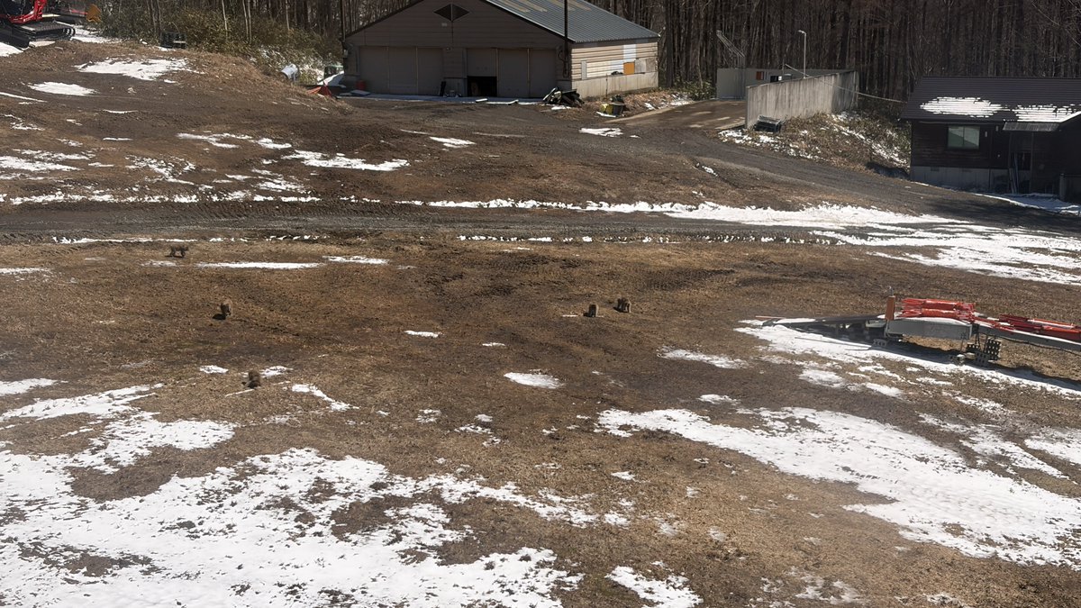 がろーね tweet media