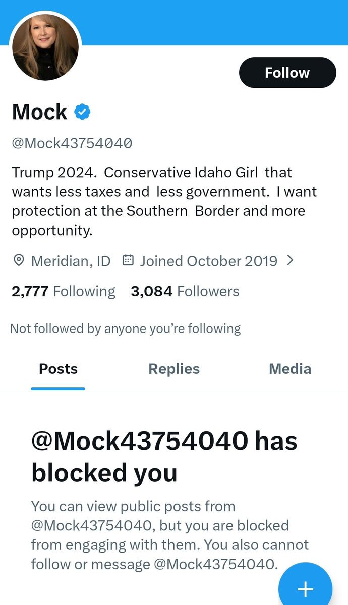 Aussie Forest 🇦🇺 tweet media