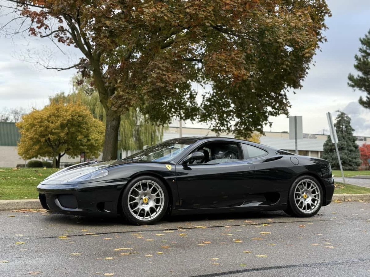 Peter Petrovic tweet media