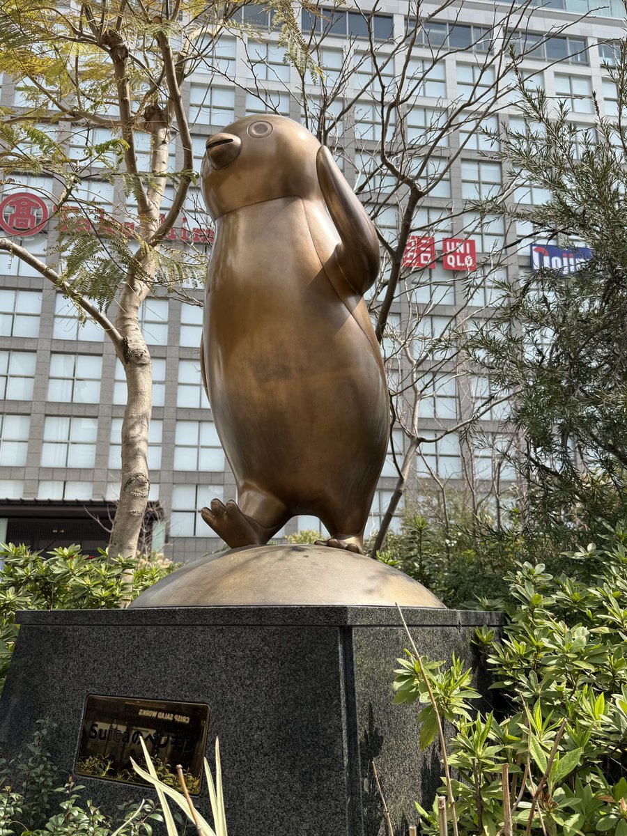 Pちゃん tweet media