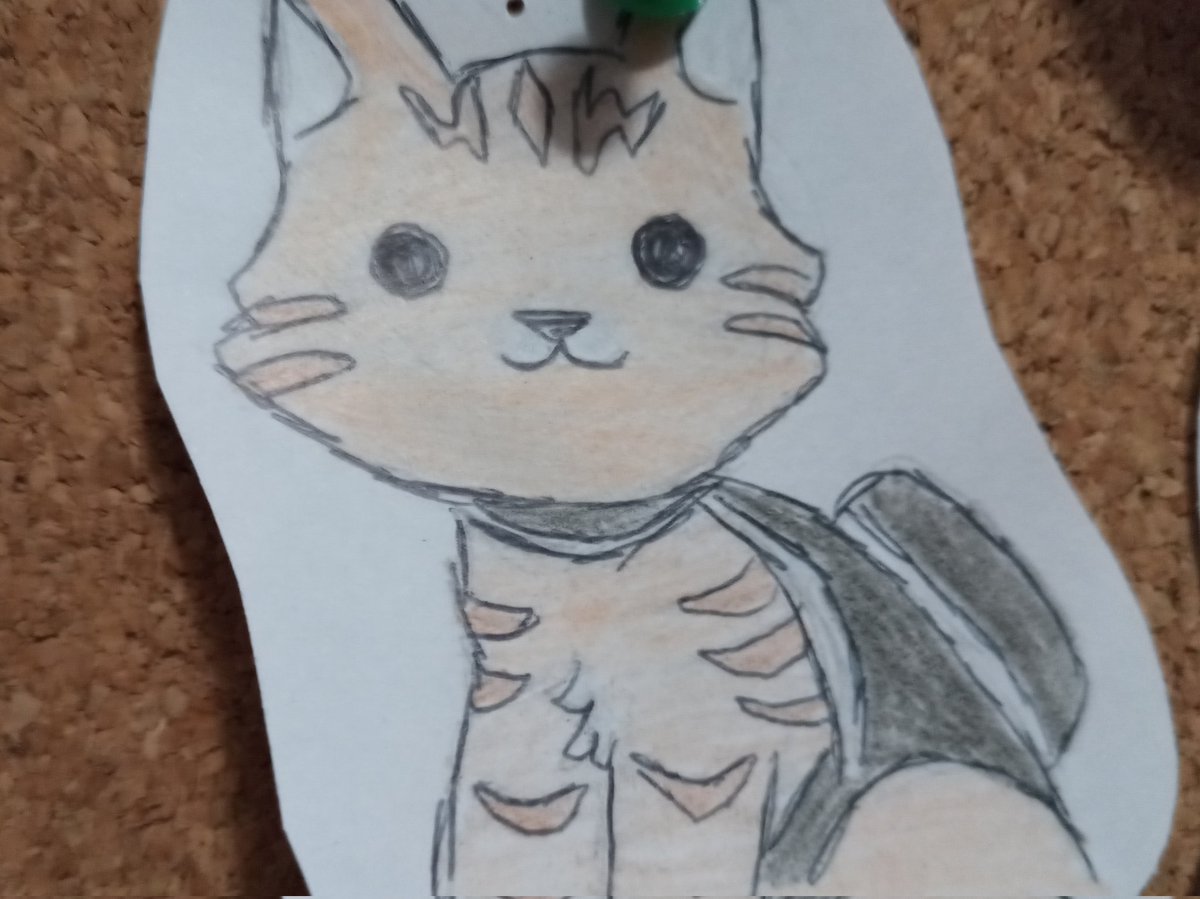 🐾Shell tweet media