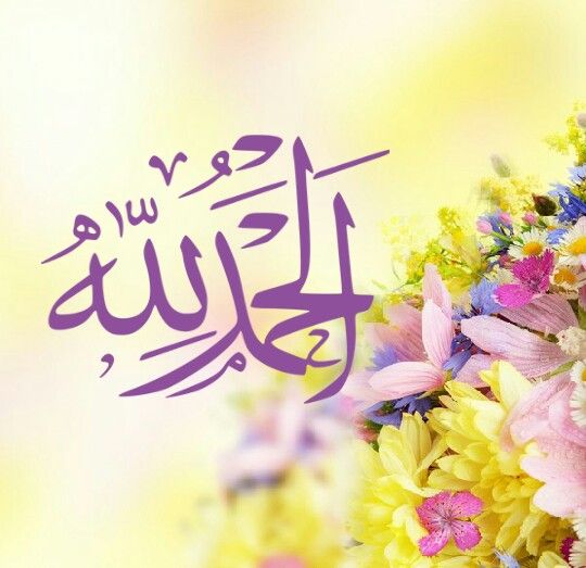 IHN92's tweet photo. پاکستان زندہ باد
تمام محبِ وطن پاکستانیوں کو مبارکباد💕 https://t.co/sdcqRItc8z