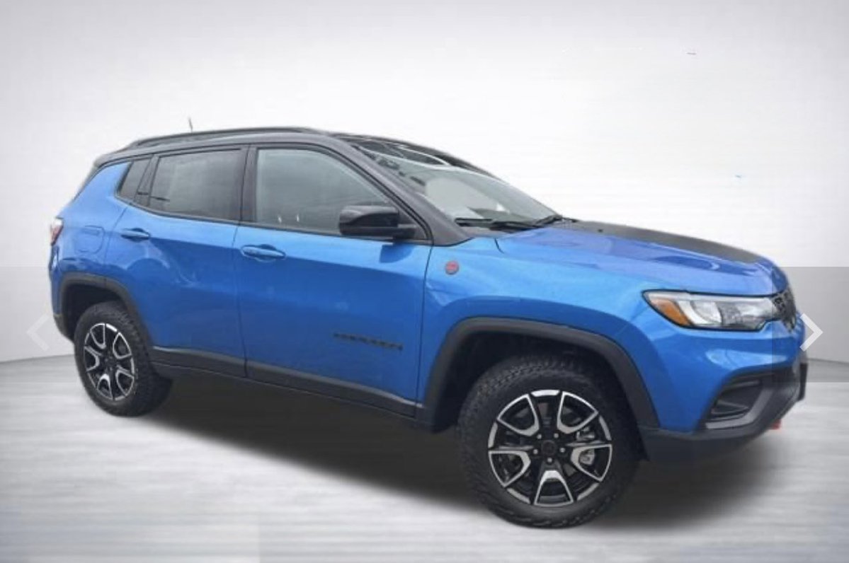 Nacho Mama 🐈 🐈‍⬛ 🪴 tweet media