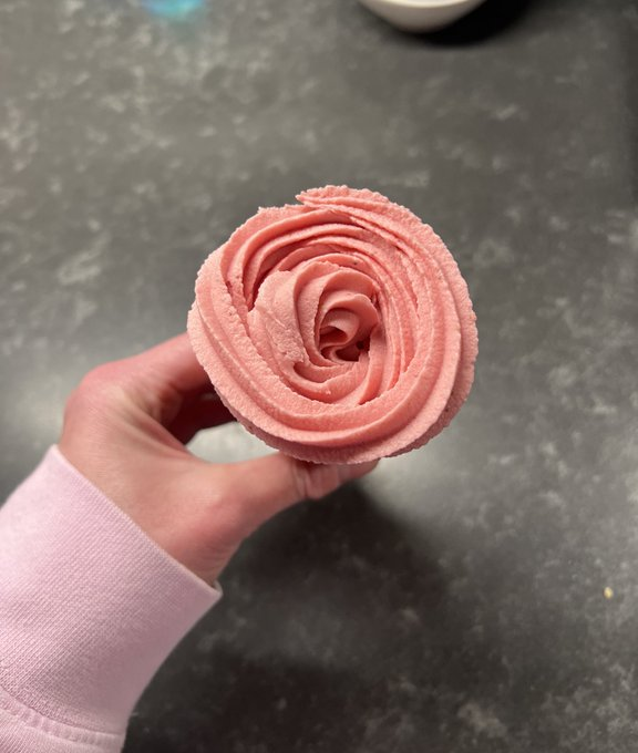 the strawberry ice cream rose of good fortune has crossed your timeline. don’t ignore this sign 🧿