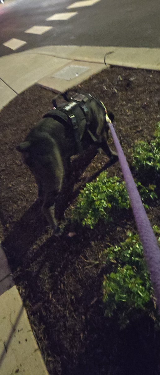 RealRationalist tweet media