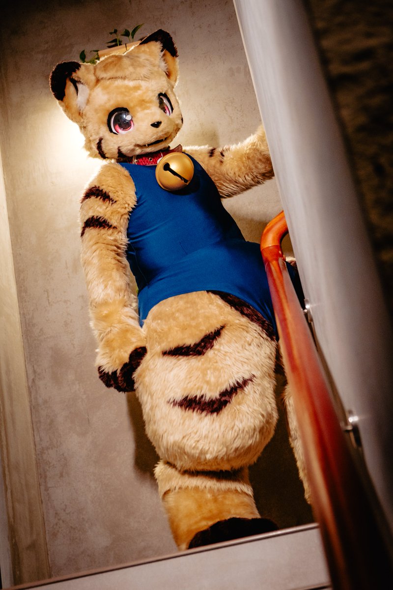 ミカ●MIKA🔜UTFG2026 tweet media