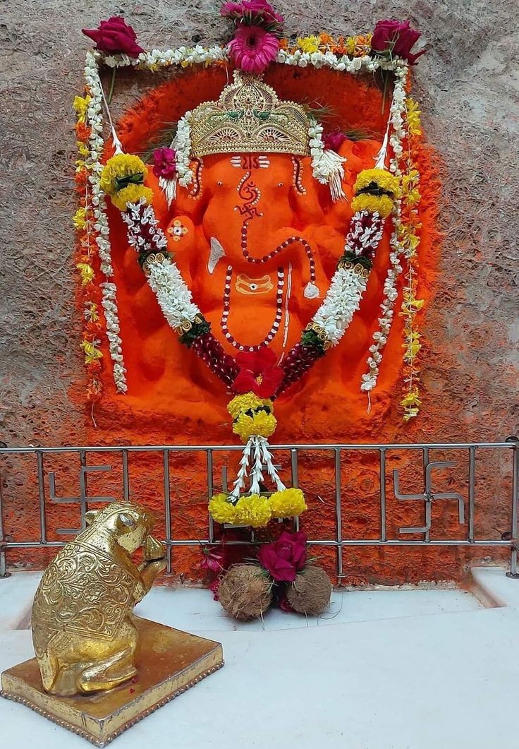 Anju Singh tweet media