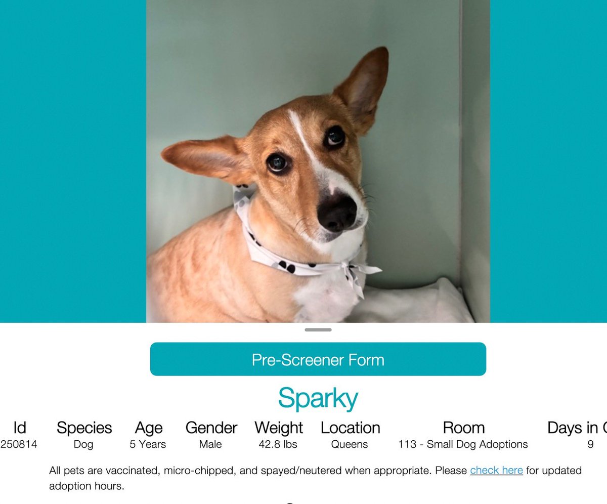 Char Bolen tweet media