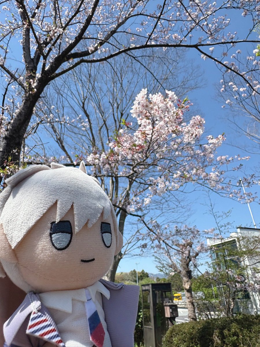 くろてら@固定通販 tweet media