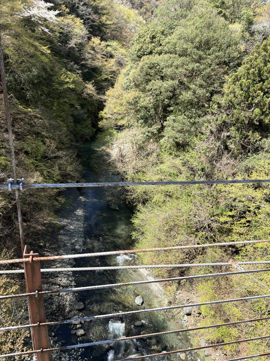 swiftysoft's tweet photo. ちょと散策 https://t.co/1T3QJgxVAr