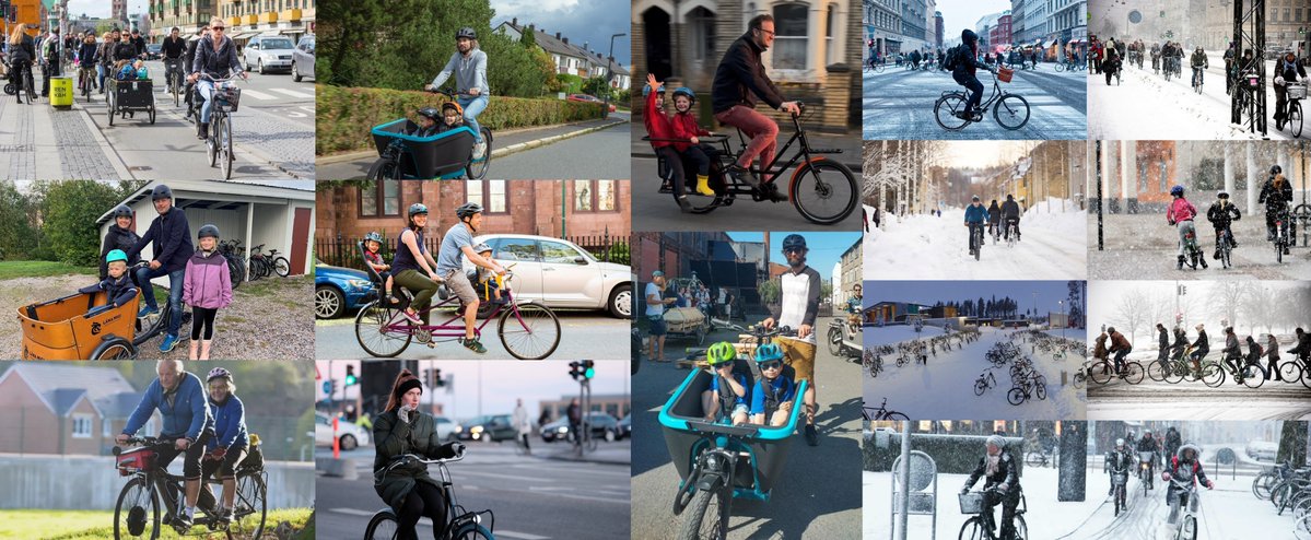 ExoticTurnip tweet media