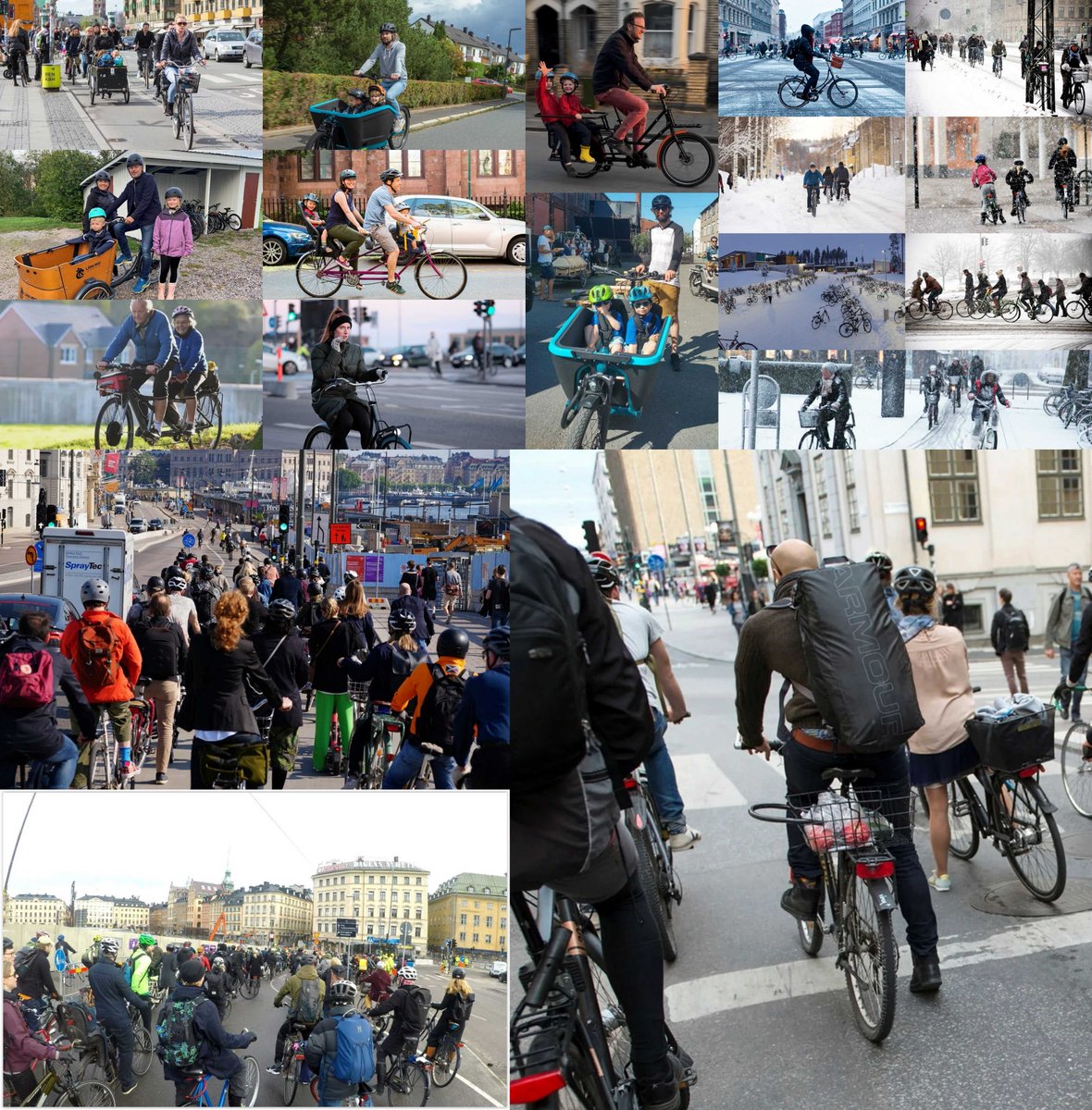 ExoticTurnip tweet media