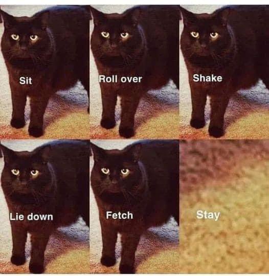 Bob Golen tweet media