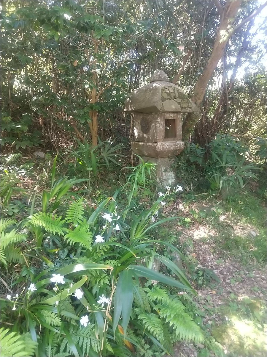 kitakamadoll's tweet photo. 早いもので、春ノ宴も中日です。
今日は昨日と違って朝から良いお天気。
桜の次は薄紫色のシャガの花が見頃になりました。
鎌倉のあちらこちらのお寺などでたくさん見られます。
#春ノ宴
#ギャラリー月 https://t.co/1nd6shp52m