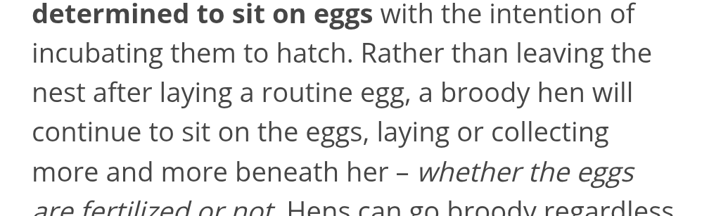 A "routine egg' 🤣🤣🤣🤣