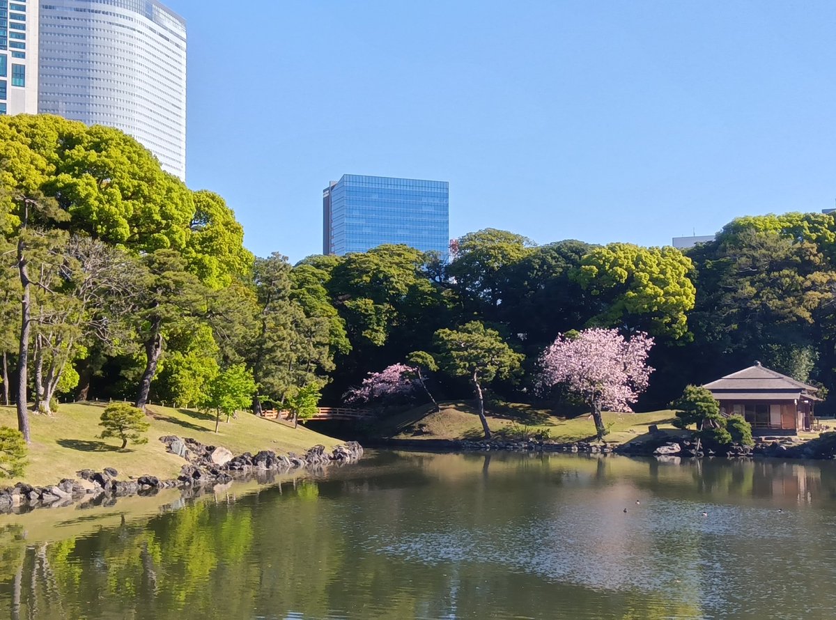 浜離宮恩賜庭園 tweet media
