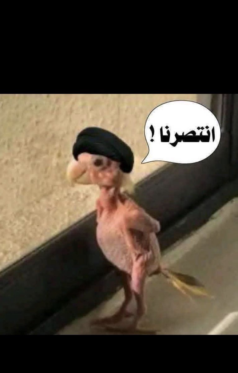 Abo-Naif tweet media