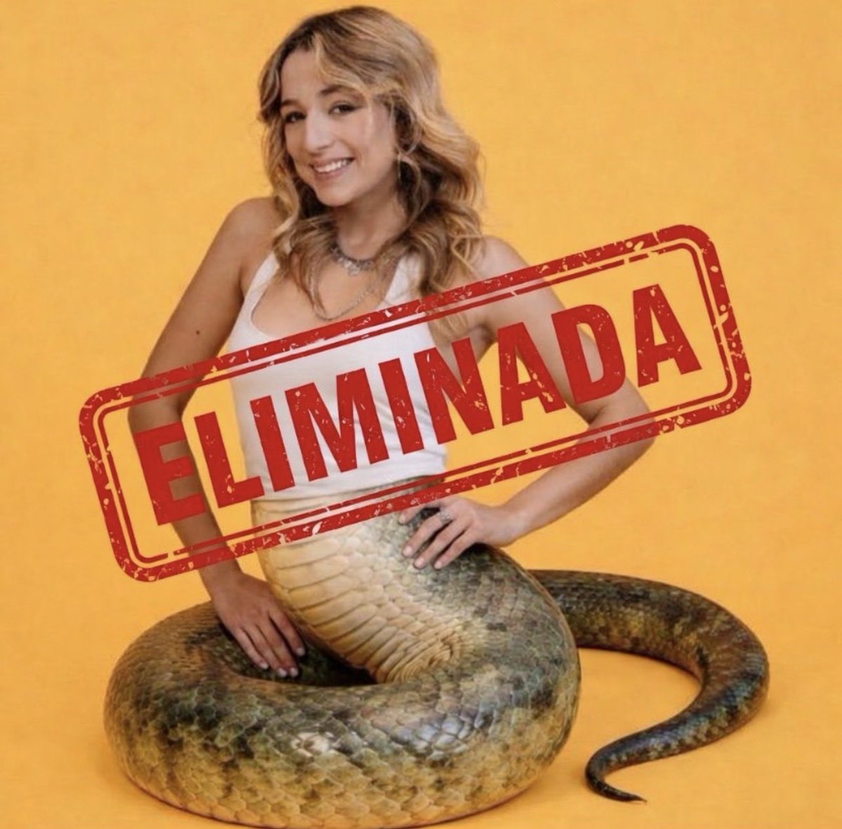 CMA_MILA's tweet photo. @centralreality #ForaSamira 🐍 https://t.co/W3iiYOR3eT