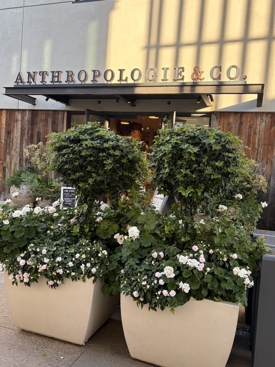 Serenity tweet media