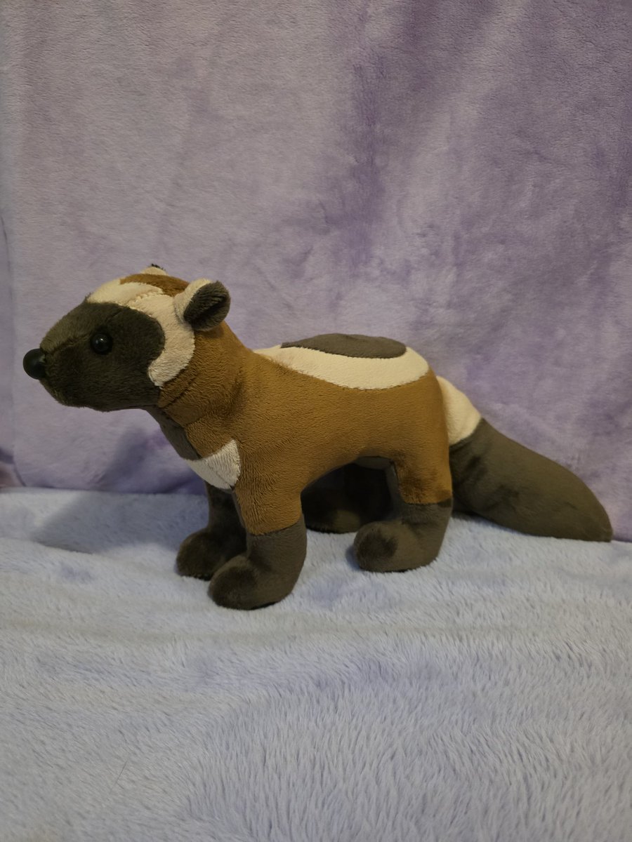 ShadowsPancakeA's tweet photo. The very small amount of wolverine plushies available encouraged me to try making my own. Pretty happy with how they turned out. :3

Btw you can get your own wolverine plush from my sh0p if anyone's interested 👉👈
#wolverine #mustelid https://t.co/lJ2RFXrVE8