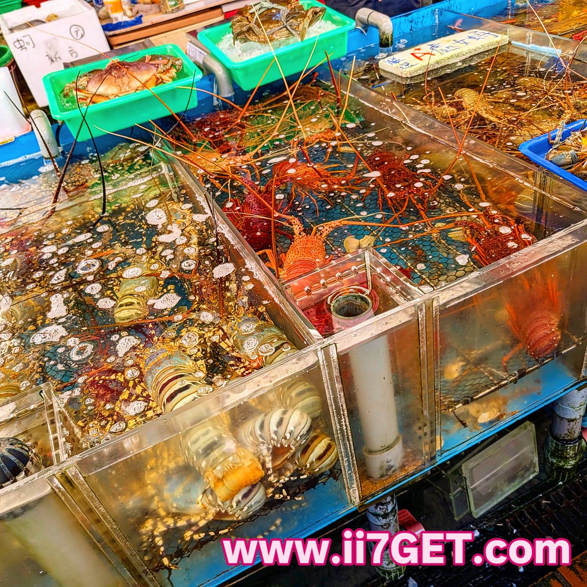 ii7GET's tweet photo. 新鮮な海鮮が格安で味わえる台湾・桃園の「竹圍漁港」。熱気あふれるローカル市場で、最高の台湾シーフードを堪能しませんか？
https://t.co/sxsQZzYcT8

＃ii7GET ​#台湾グルメ ＃新鮮な海鮮 ＃台湾美食 https://t.co/Hm6rJnu4bU